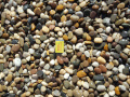 We sell Atlantic Pebbles for the garden