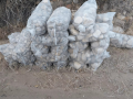 20Kg bags of river stone, Cape Garden Center supplies