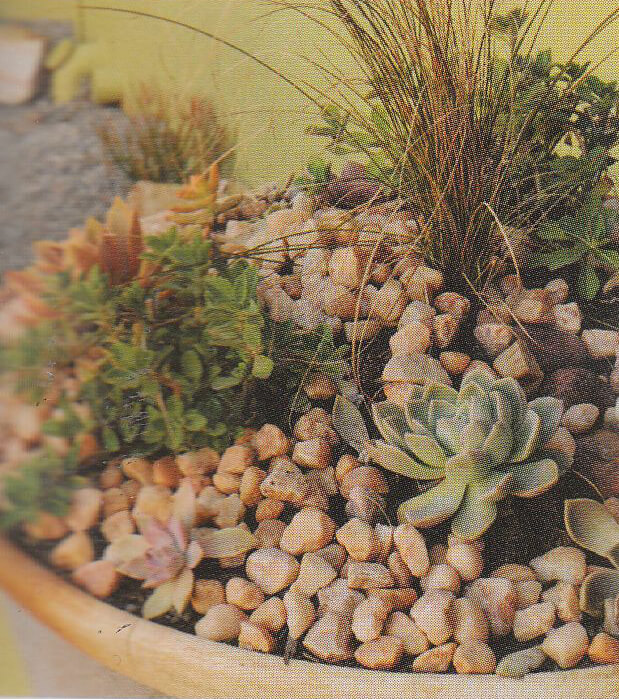 Brown river stones in a pot with plants